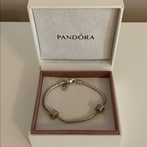 Pandora charm bracelet